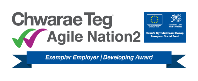 Exemplar Employer Developing Award